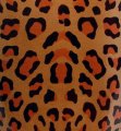 leopard detail